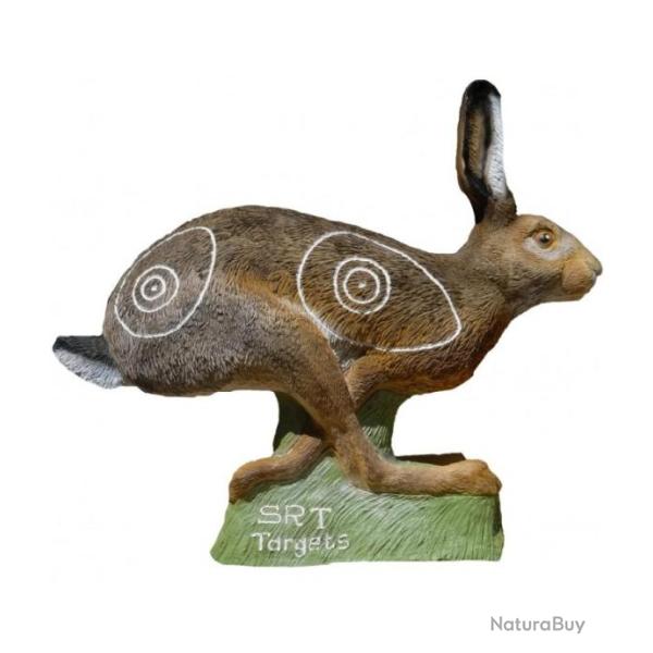 Cible 3D SRT Livre en course de groupe 4