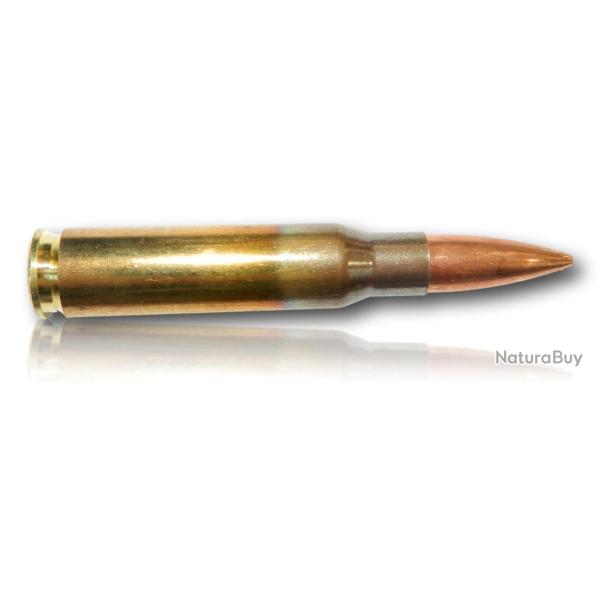 308 GGG 175GR NOSLER HPBT BTE 20