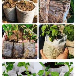 100 Pots Sacs de Culture Biodegradable-12x12cm 20260729082520