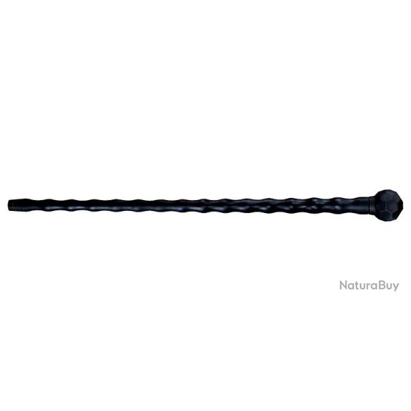 African Walking Stick