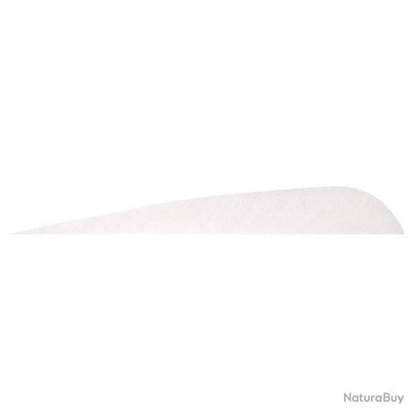 GATEWAY - Plumes naturelles parabolique 4" RH Unie BLANC