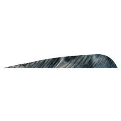 GATEWAY - Plumes naturelles parabolique 4" LH TRE TRE BARK