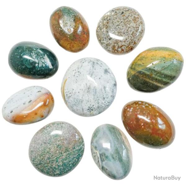 Galets de jaspe orbiculaire - Lot de 2