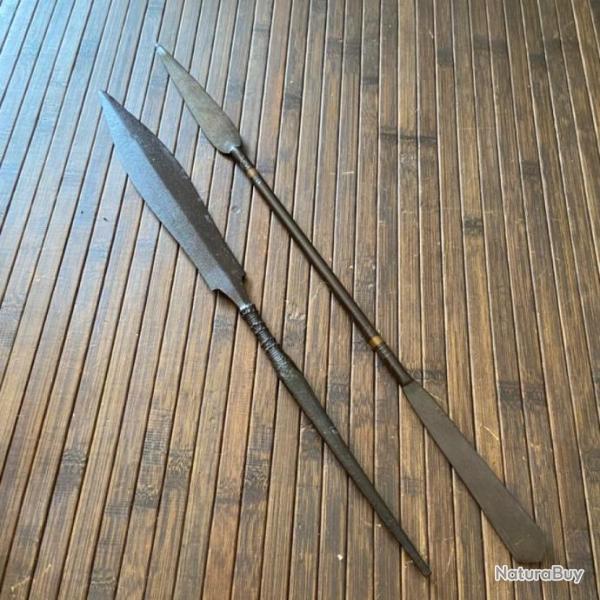 Lot DE DEUX FER DE LANCES ANCIENS