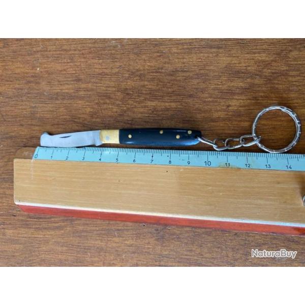 MINI PORTE CLEE  GREFFOIR CORNE NOIR  2025 n