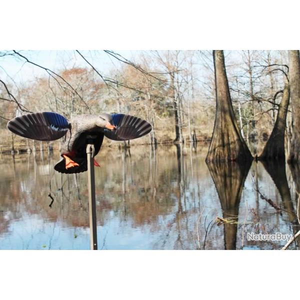 CANARD A AILES TOURNANTES COLVERT FEMELLE ELITE SERIES MOJO