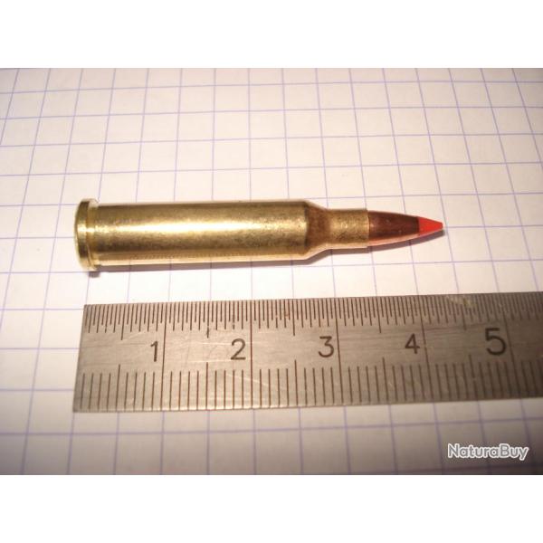 une cartouche de 17 hornet marque Hornady ogive V max pour collection