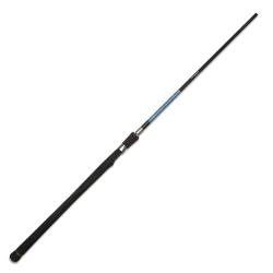 Canne Spinning Smith Dragonbait Sea Bass 100 2 197g 3m00 15 - 70g
