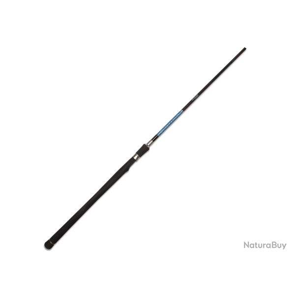 Canne Spinning Smith Dragonbait Sea Bass 100 2 197g 3m00 15 - 70g