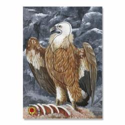 KRUEGER BLASON ANIMAL GR.3 VAUTOUR