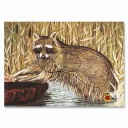 KRUEGER BLASON ANIMAL GR.3 RATON LAVEUR