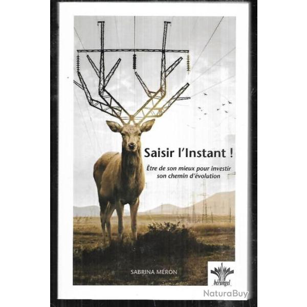 saisir l'instant ! etre de son mieux pour investir son chemin d'�volution  sabrina m�ron