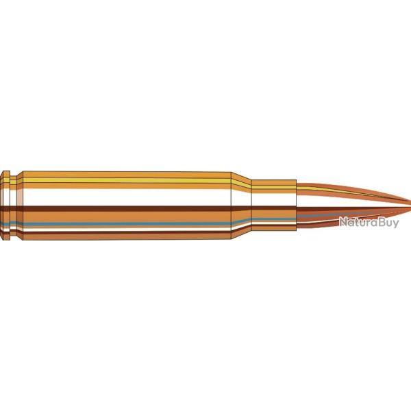 Munitions HORNADY 308 Win 168 gr BTHP Match par 20