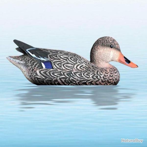 APPELANT CANARD COLVERT FEMELLE SPORT PLAST