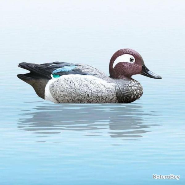 APPELANT CANARD SARCELLE D'�T� MALE SPORT PLAST