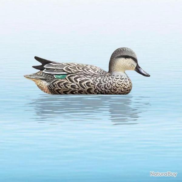 APPELANT CANARD SARCELLE D'�T� FEMELLE SPORT PLAST