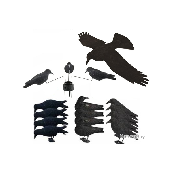 Pack PLATINIUM 12 appelants, EVA et man�ge � corbeaux