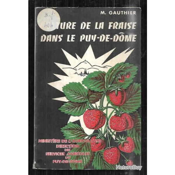 culture de la fraise dans le puy de dome de m.gauthier