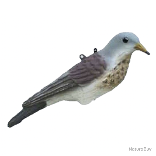 APPELANT GRIVES LITORNE SPORT PLAST