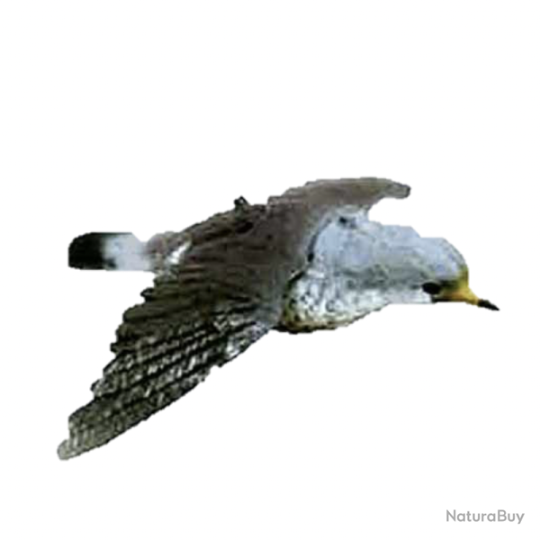 APPELANT CAROUSSEL GRIVE EN VOL SPORT PLAST