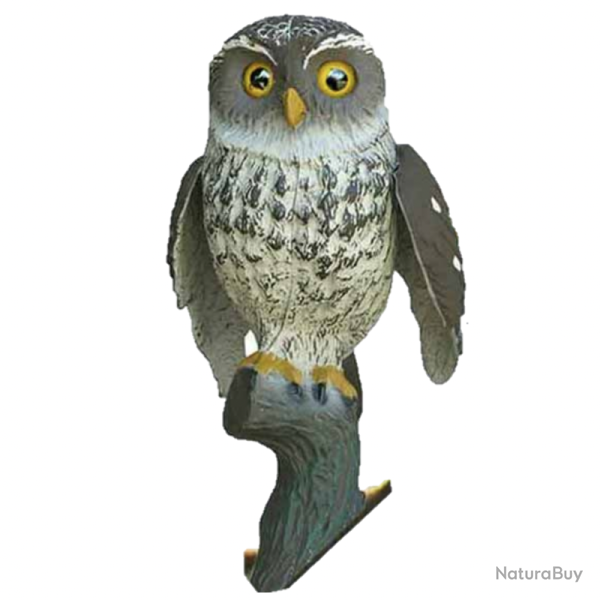 APPELANT CHOUETTE AILES BATTANTES SPORT PLAST