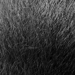 BUCKTAIL DEVAUX Noir