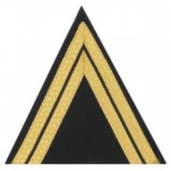 Galon bas de manches CARRIERE MOBILE