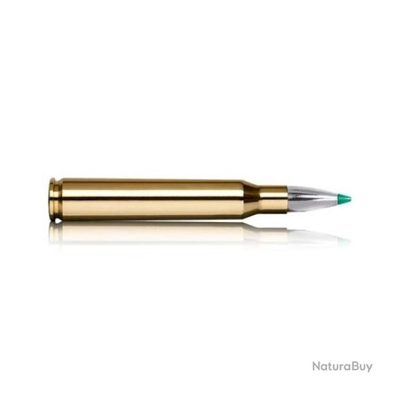 DESTOCKAGE 1 BOITE DE 20 MUNITIONS NORMA CAL300 WIN MAG ECOSTRIKE 165GR