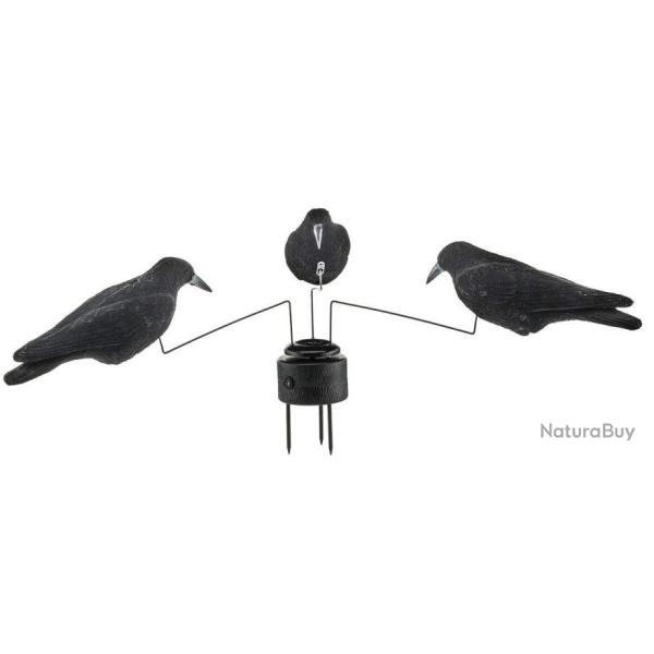 Promotion ! Man�ge � corbeaux