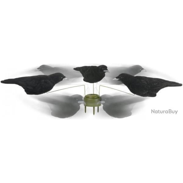 Promotion ! Pack 3 corbeaux HD floqu�s sp�cial man�ge � corbeaux