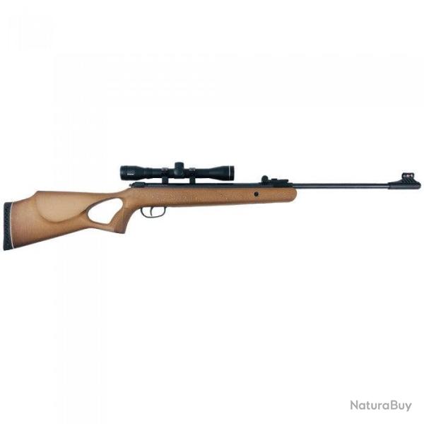 Pack Carabine � plombs Diana Two-Fifty 19 J + Lunette 3-9x32 + Rings - Pack Premium