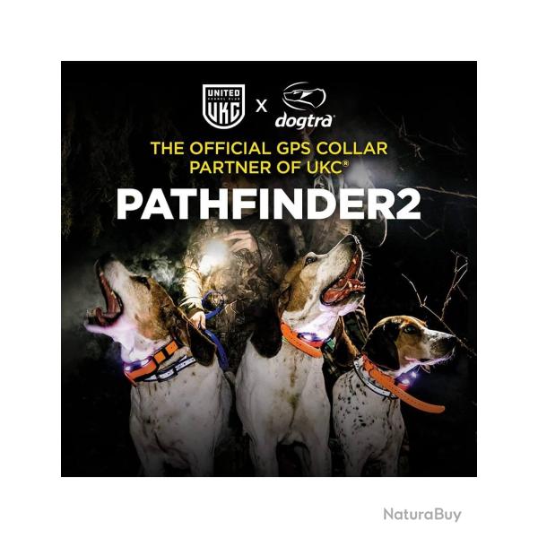 PATHFINDER 2 DOGTRA centrale + collier 