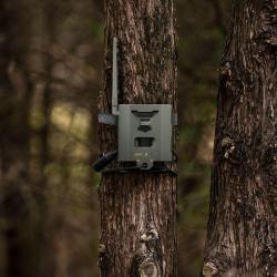 BOITIER DE SECURITE FLEX SPYPOINT Steel Secuirty Box SB-500