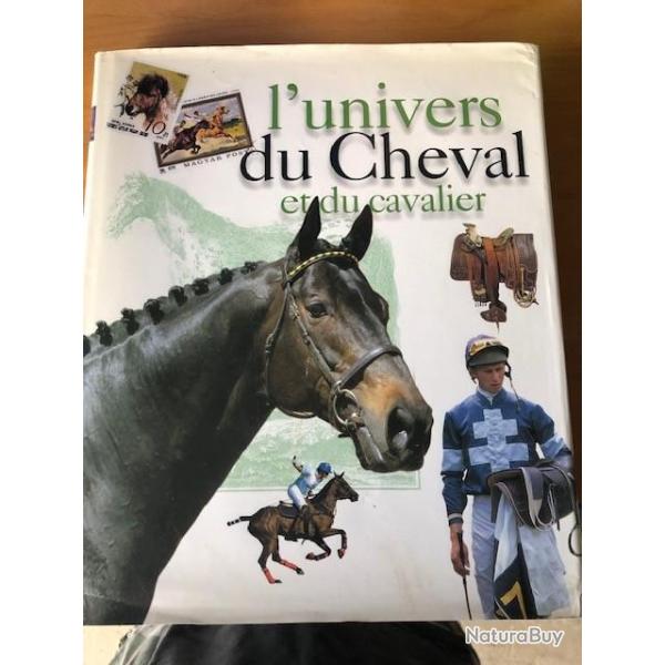 L'univers du cheval et du cavalier