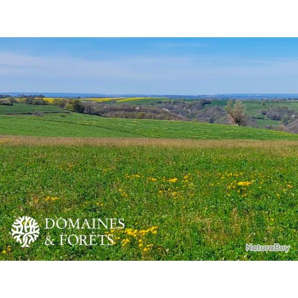 Propri�t� avec habitations, d�pendances et b�timents agricoles 42 hectares dans le Tarn. DF-353-A