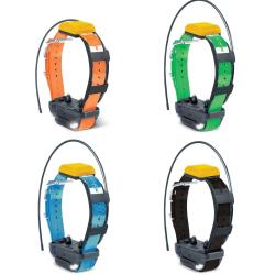 Collier suppl. dressage et rep&eacute;rage GPS Pathfinder 2 Dogtra -Vert
