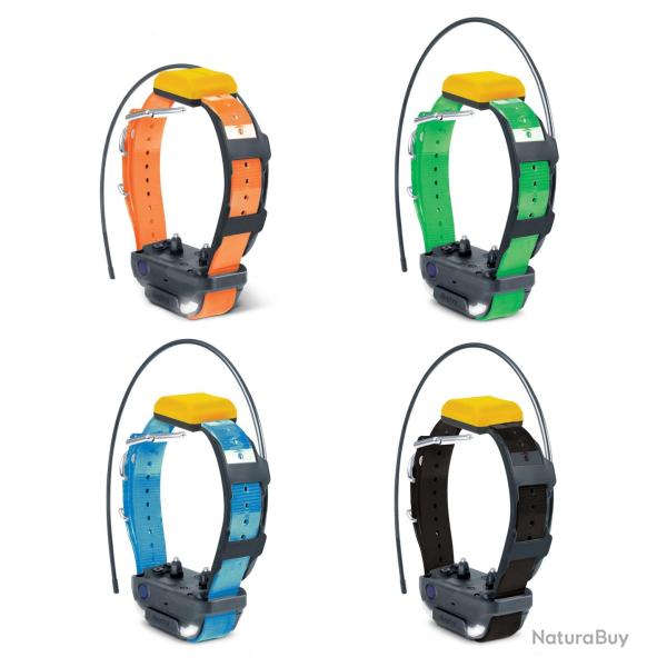 Collier suppl. dressage et rep�rage GPS Pathfinder 2 Dogtra -Bleu