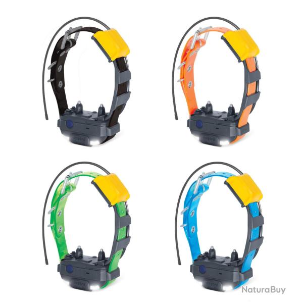 Collier suppl. dressage et rep�rage GPS Pathfinder 2 Mini Dogtra -Vert