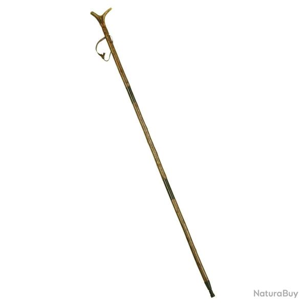 Canne de pirsch et de montagne