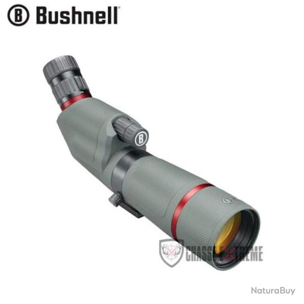 Lunette Terrestre BUSHNELL Nitro 20-60x65 Coud�e