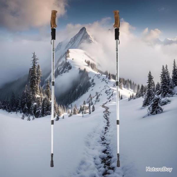 2 B�TONS DE MARCHE NORDIQUE RANDONN�E ENERGIA WOOD ALUMIN 3 STEP SILVER RESSORT ANTI-CHOC