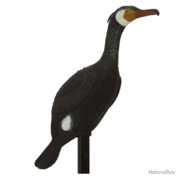 APPELANT CORMORAN DEBOUT SPORT PLAST