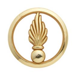 Insigne de b&eacute;ret dor&eacute; Cadre Sp&eacute;cial