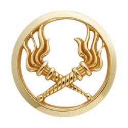 Insigne de b&eacute;ret dor&eacute; Service des Essences