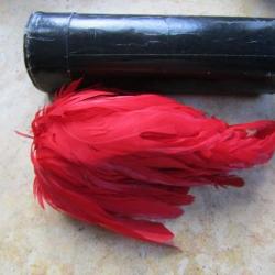 plumet de k&eacute;pi  adjudant + officier plumes plumet coq rouge, k&eacute;pi / shako mod 1910 +boite authentiqu