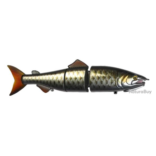 Poisson Nageur Zerek Affinity 22cm 22cm 96g Empurau