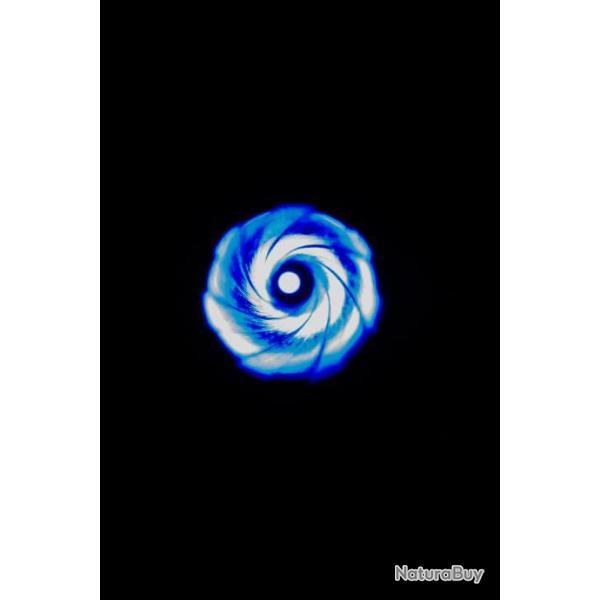 Lampe d'inspection de canon