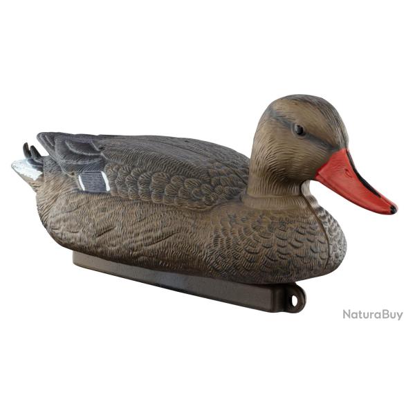 Appelant colvert femelle - AP102