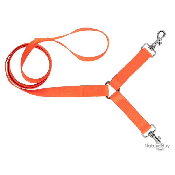 Laisse 1,30 m sangle nylon 2 chiens orange fluo - Country - CH3255