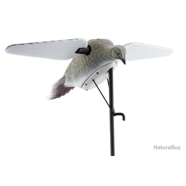 Appelant tourterelles ailes tournantes - AP139